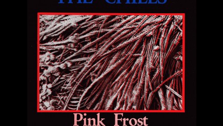 The original art to The Chills' "Pink Frost" 7" single.