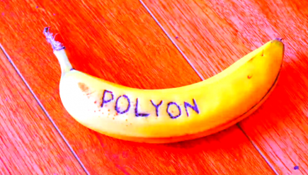 polyon-more-video