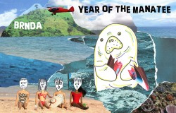 Year-of-the-Manatee-Album-Cover