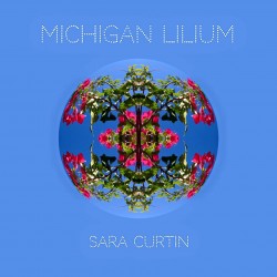 sara-curtin-michigan-lilium