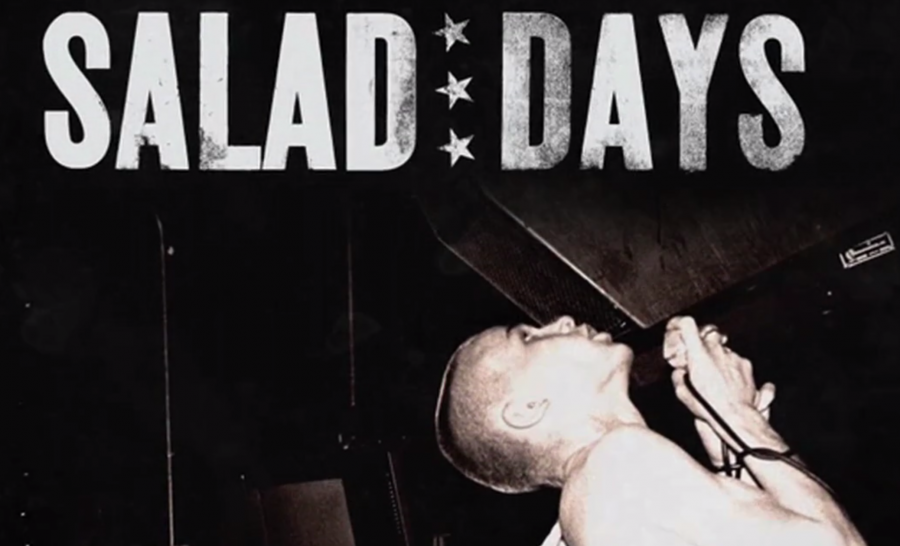 The director of 'Salad Days: A Decade of Punk in Washington DC' says the film has been widely pirated online.